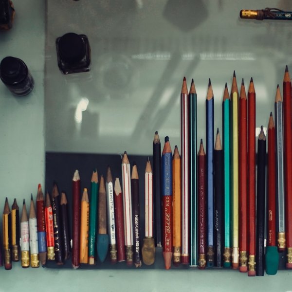 art collection management software